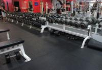 Vivion Rd Gym Free Weights