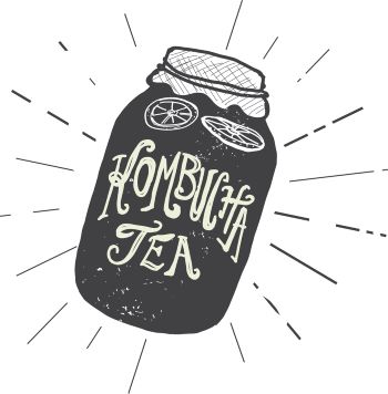 Kombucha Tea Illustration